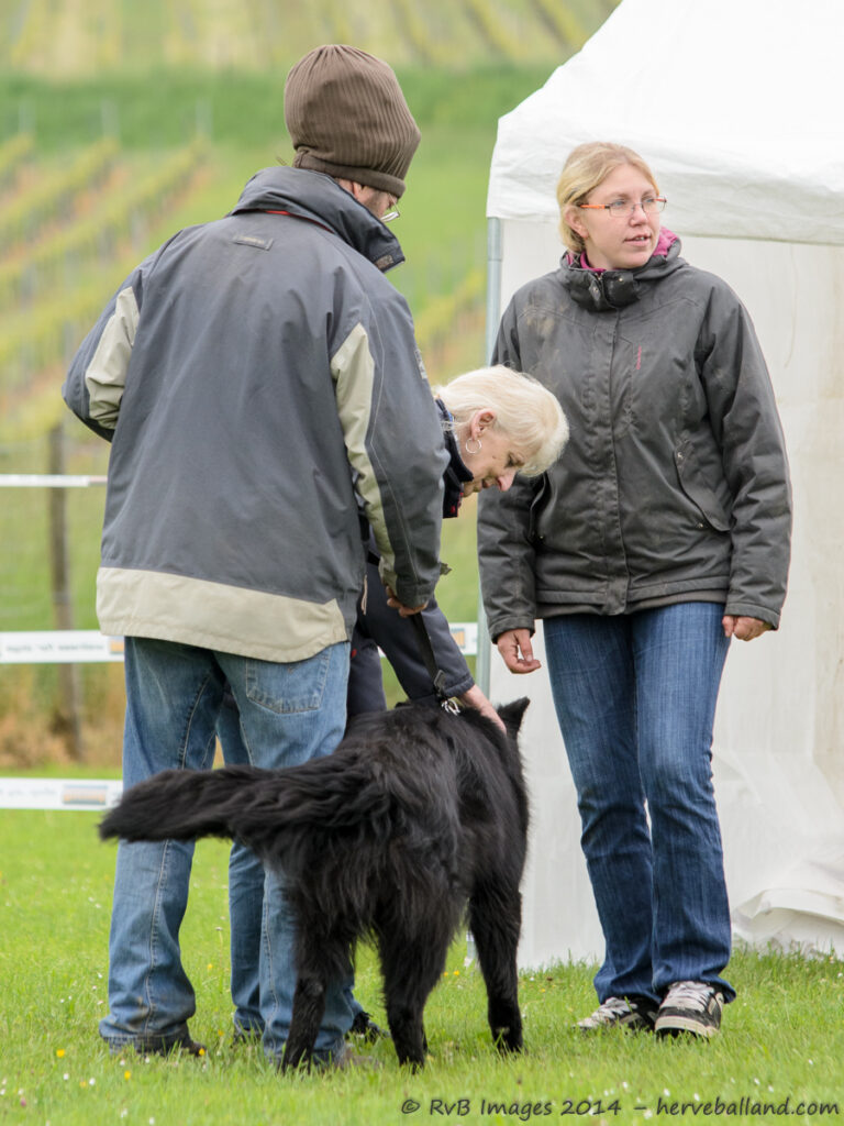 NE Boersch 2014-043