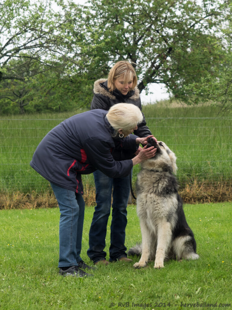 NE Boersch 2014-051