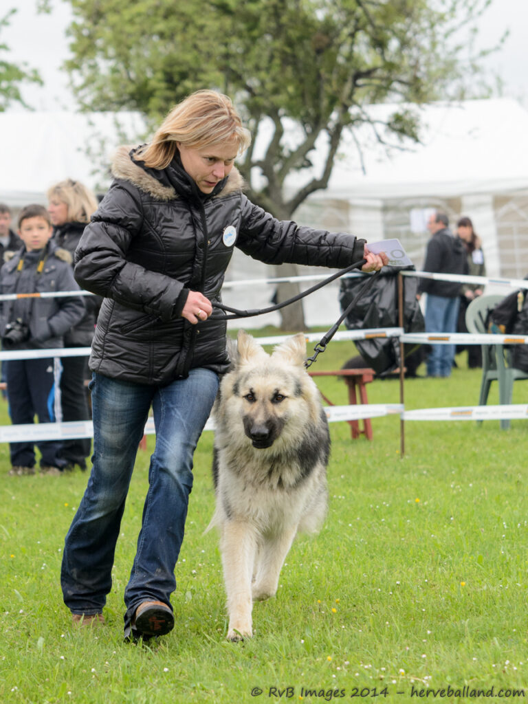 NE Boersch 2014-059