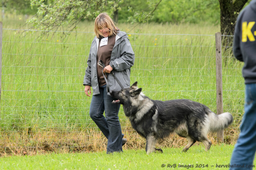 NE Boersch 2014-061