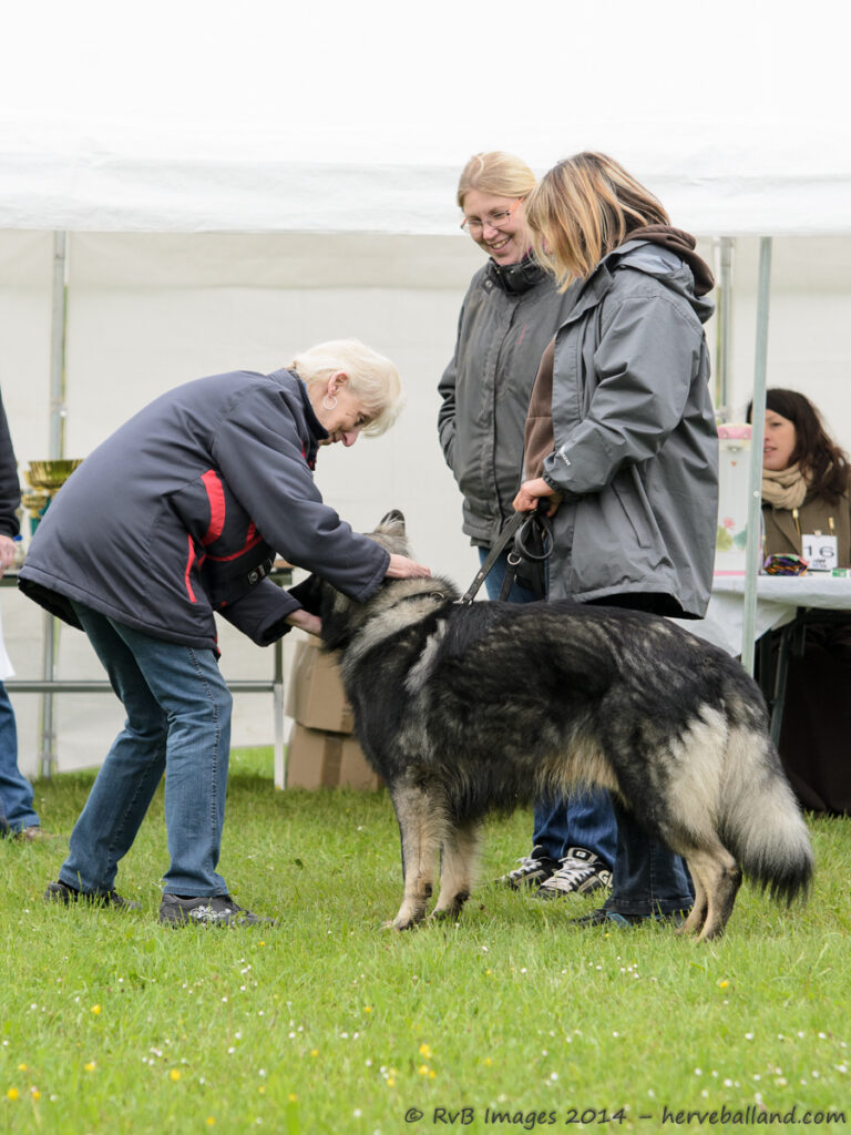 NE Boersch 2014-062