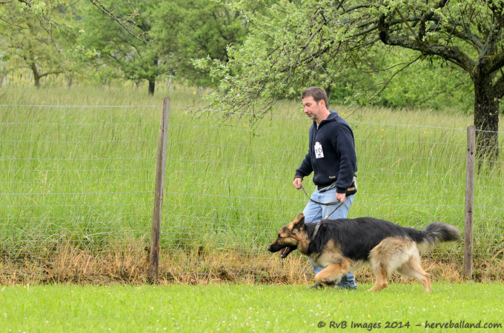 NE Boersch 2014-073