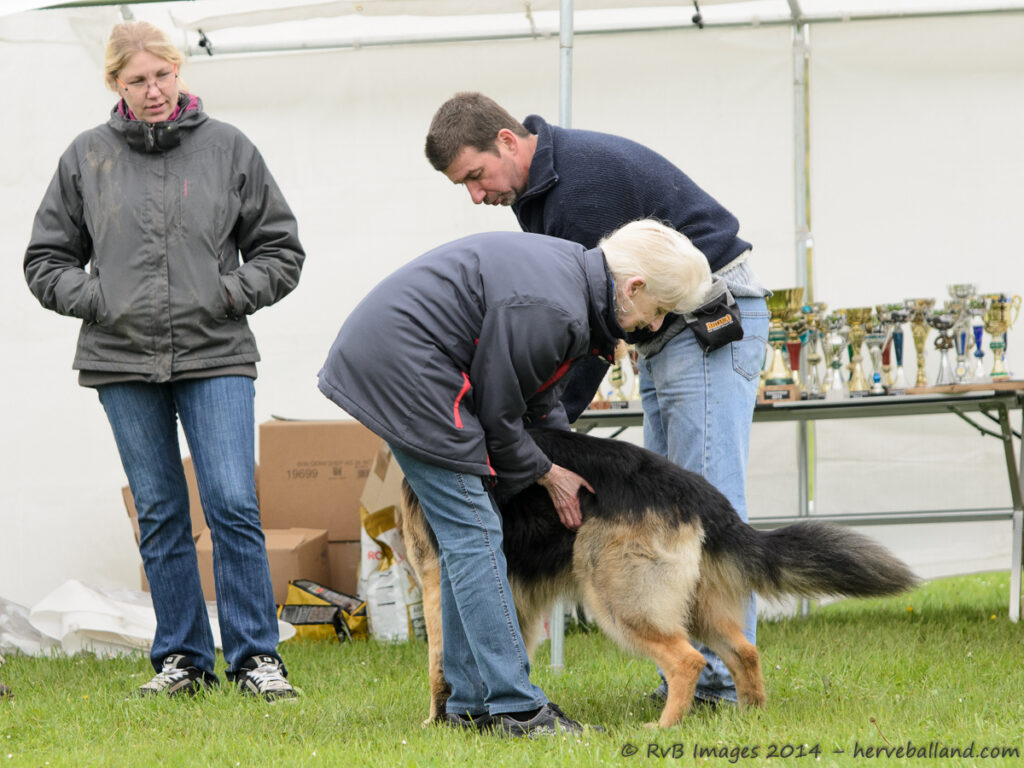 NE Boersch 2014-075