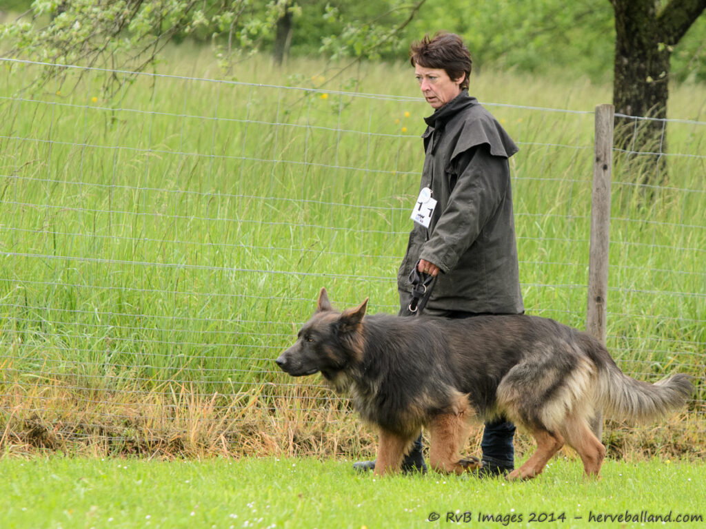NE Boersch 2014-082