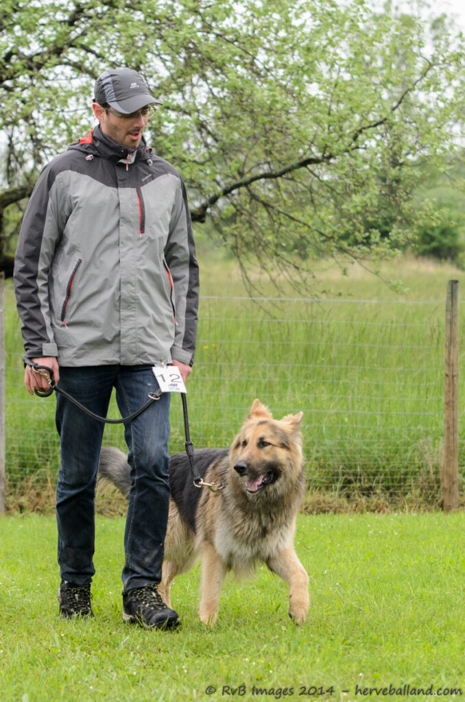 NE Boersch 2014-091