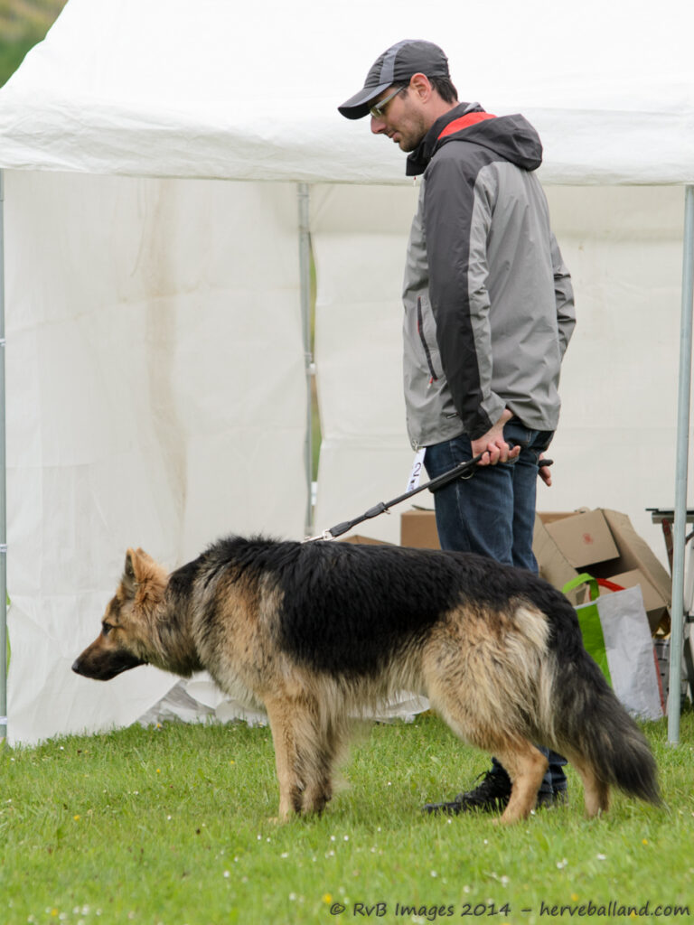 NE Boersch 2014-093