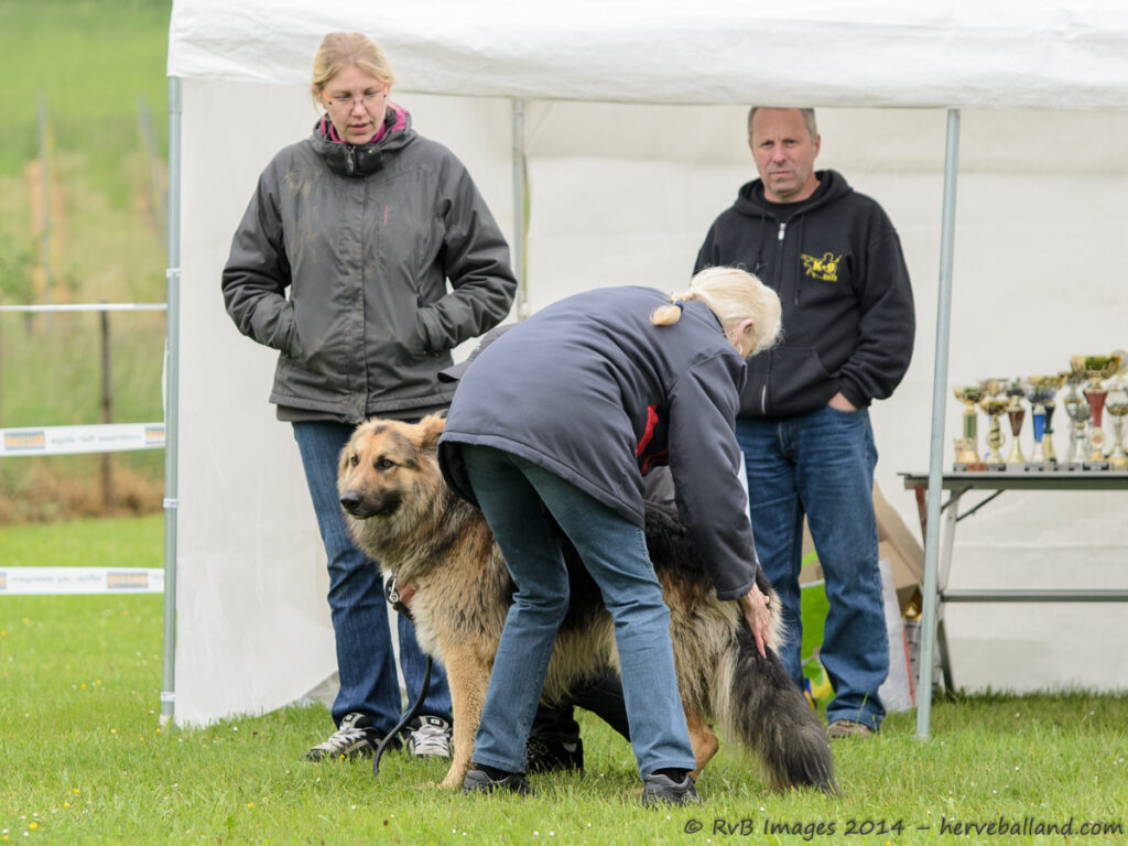 NE Boersch 2014-094
