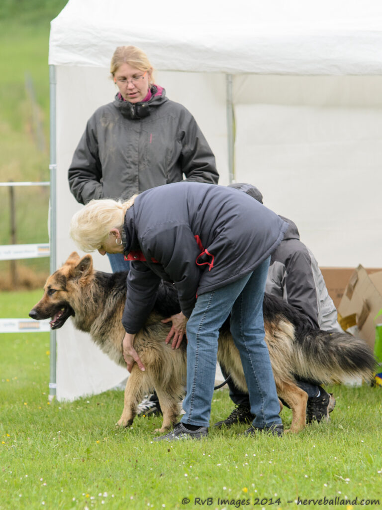 NE Boersch 2014-095