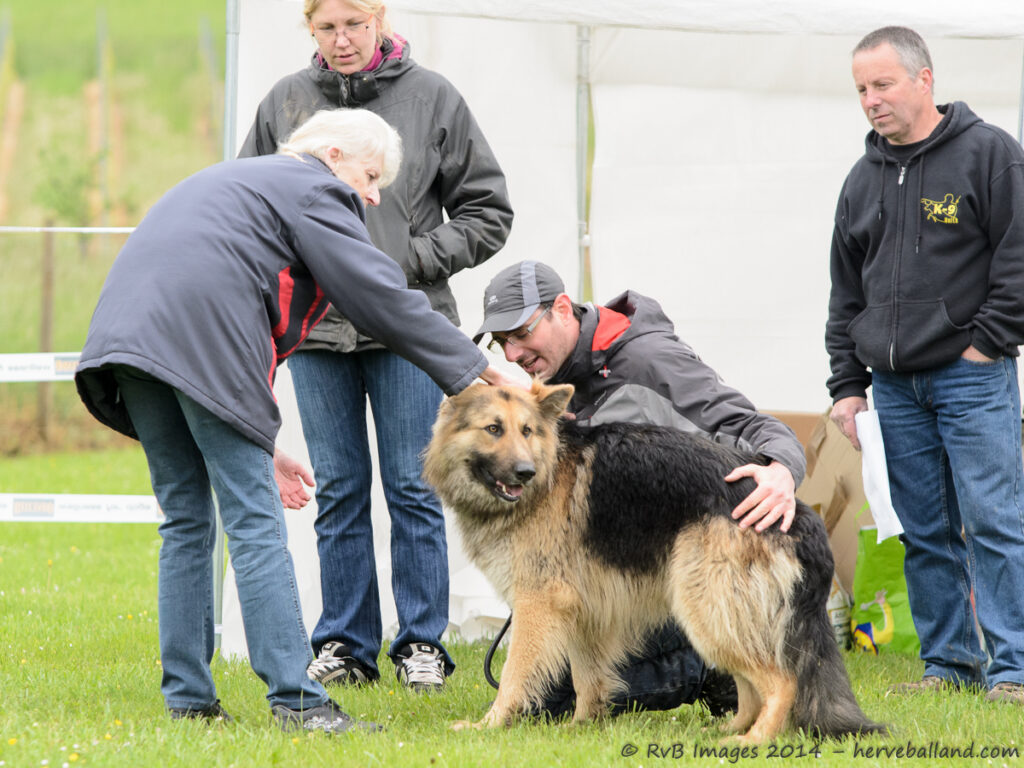 NE Boersch 2014-096
