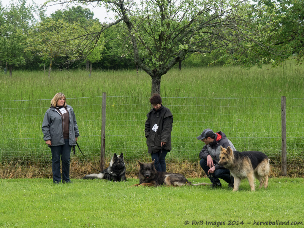 NE Boersch 2014-101