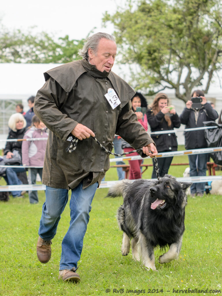 NE Boersch 2014-108