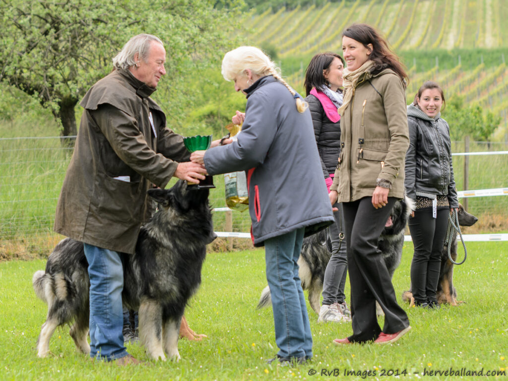 NE Boersch 2014-109