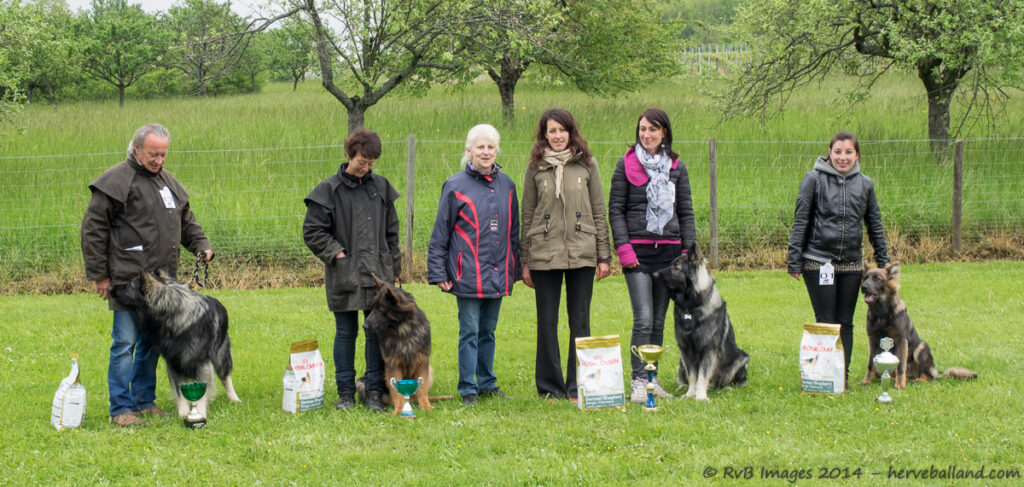 NE Boersch 2014-111