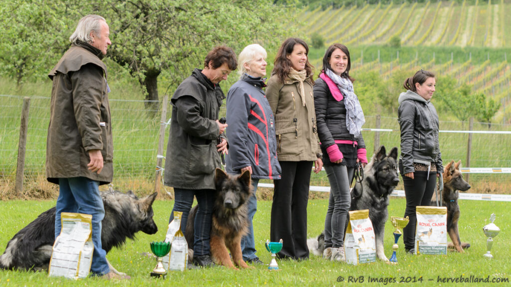 NE Boersch 2014-112