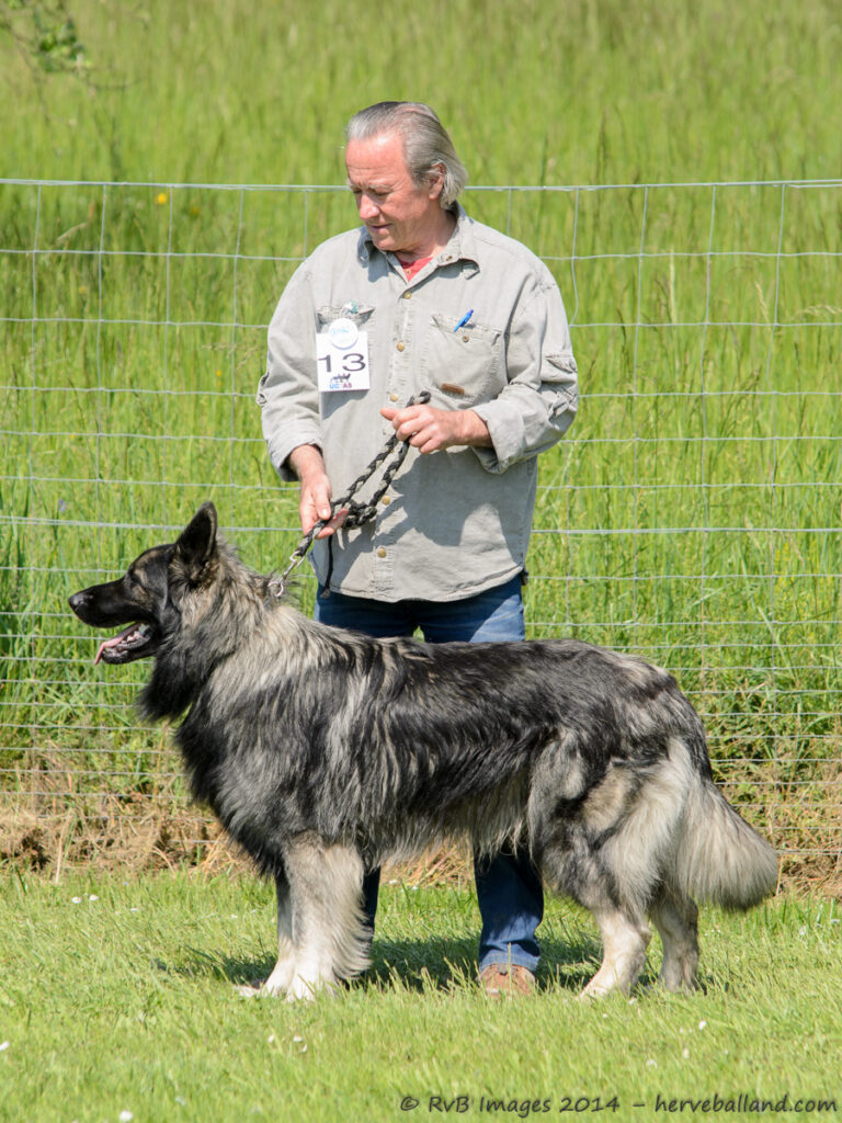 NE Boersch 2014-113