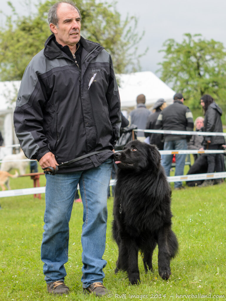 NE Boersch 2014-116