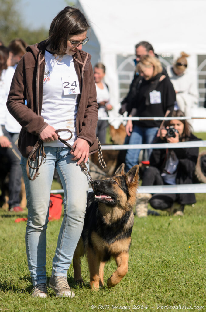 NE Boersch 2014-121