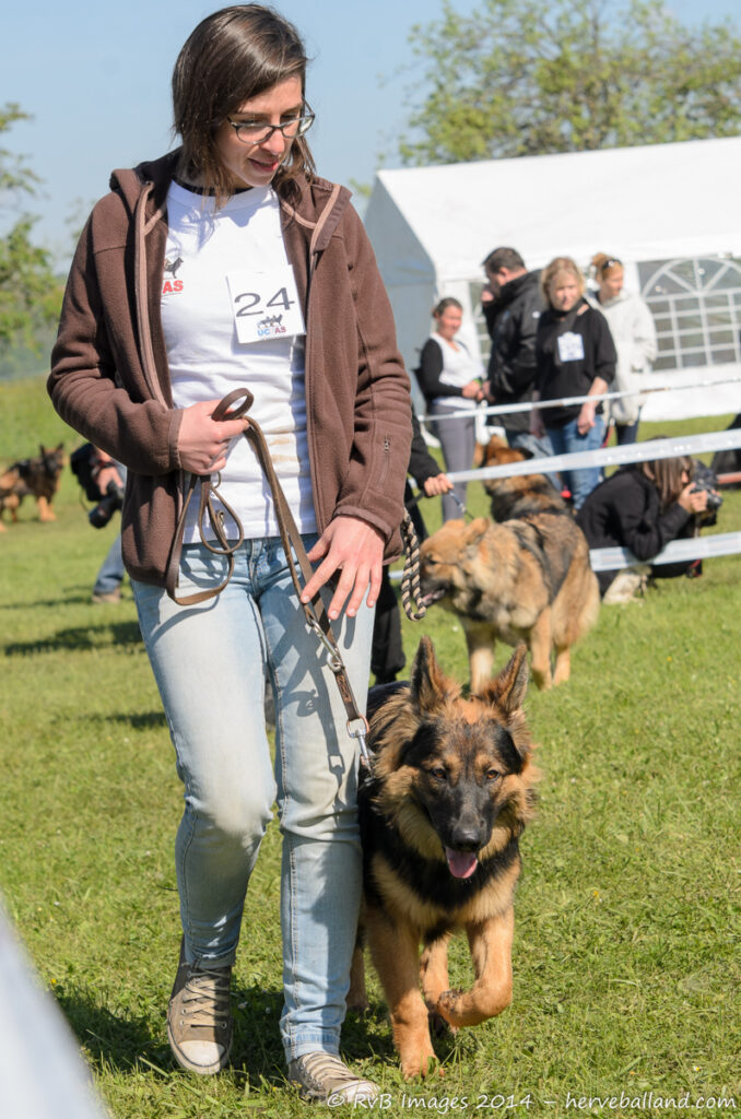 NE Boersch 2014-122