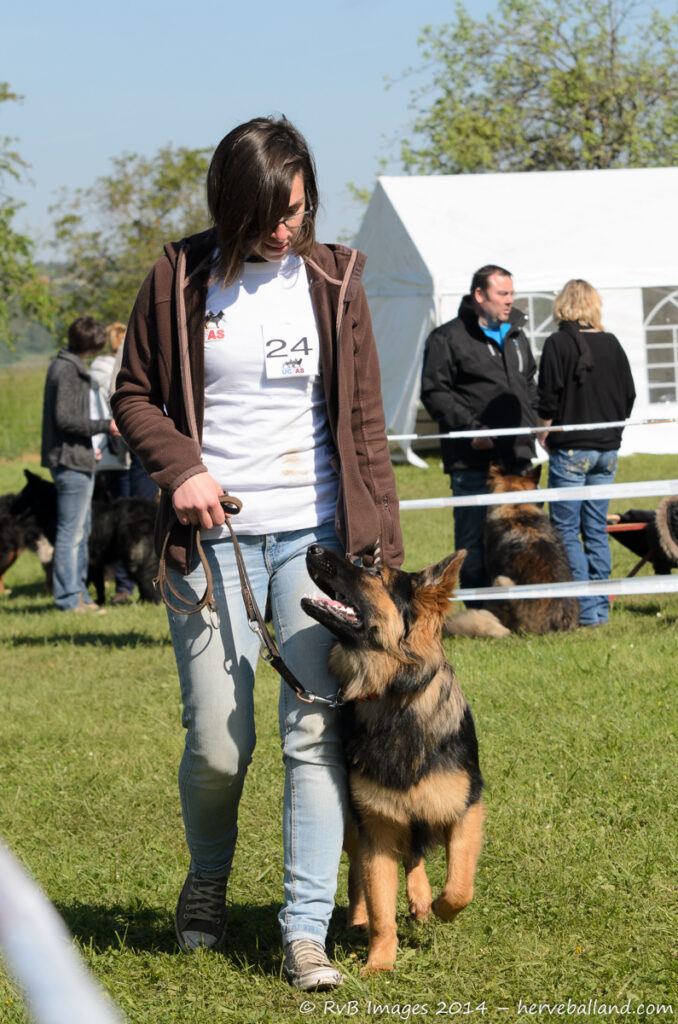 NE Boersch 2014-123