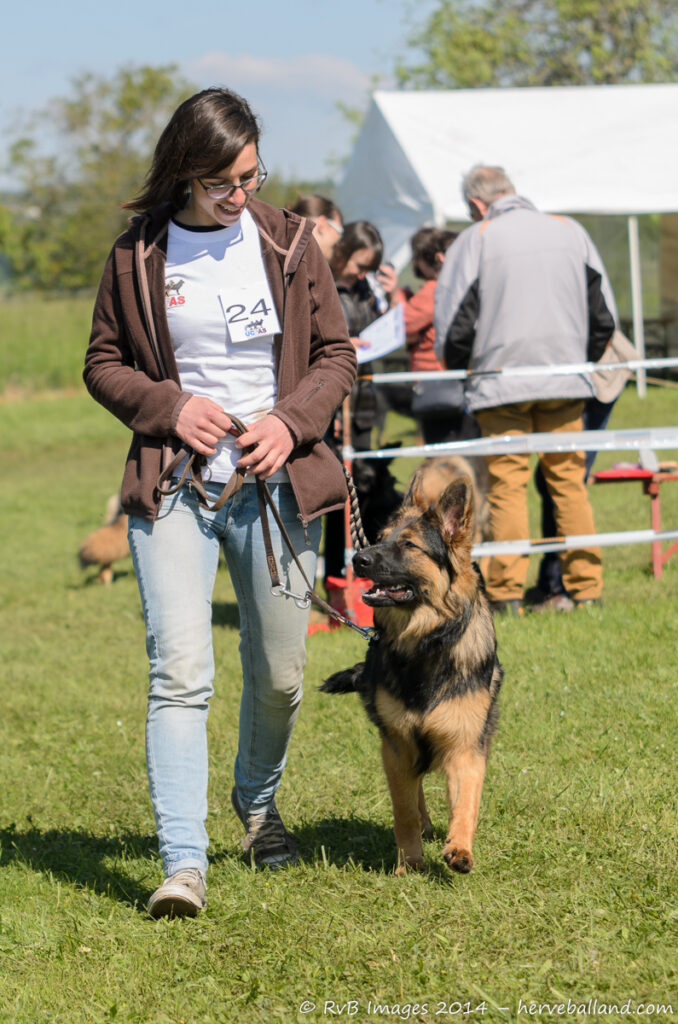NE Boersch 2014-127