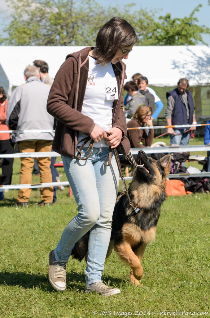 NE Boersch 2014-128