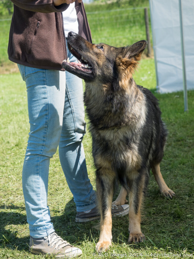 NE Boersch 2014-132