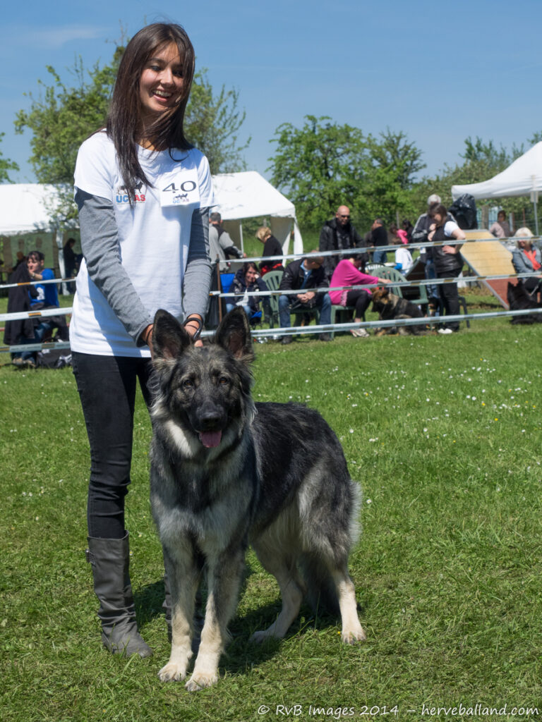 NE Boersch 2014-134