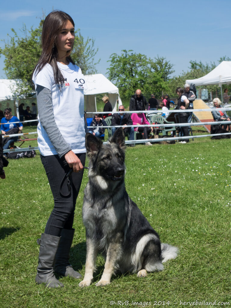 NE Boersch 2014-135