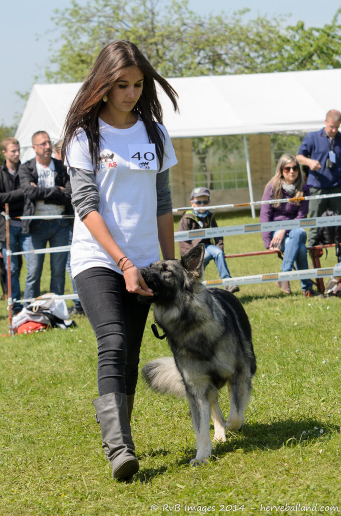 NE Boersch 2014-141