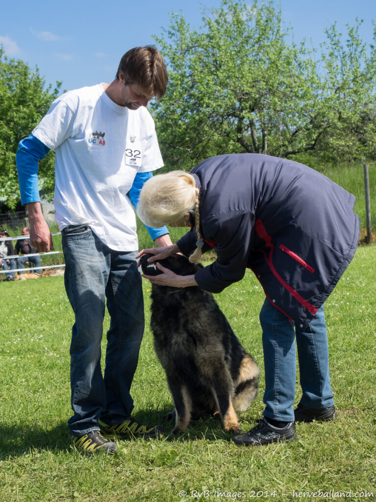 NE Boersch 2014-144