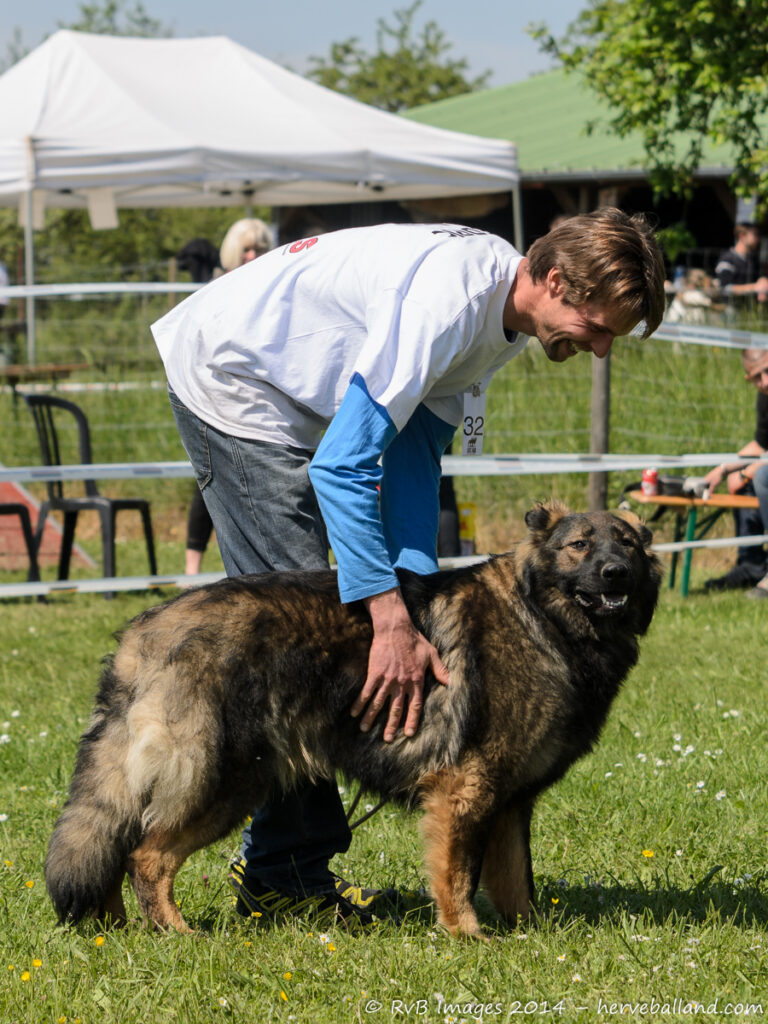 NE Boersch 2014-147