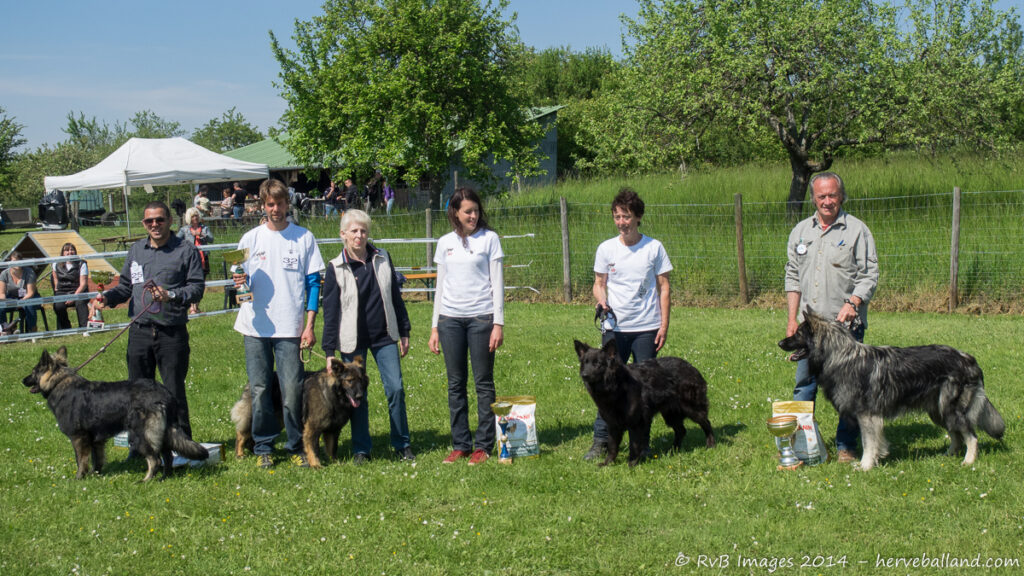 NE Boersch 2014-150