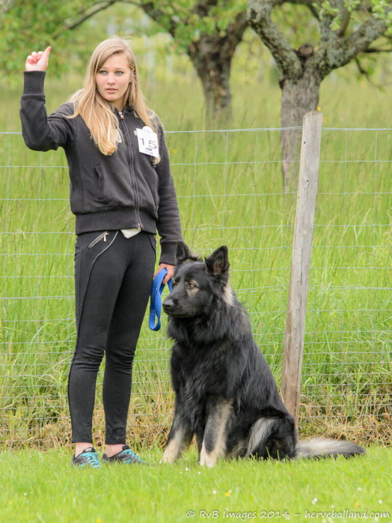 NE Boersch 2014-159