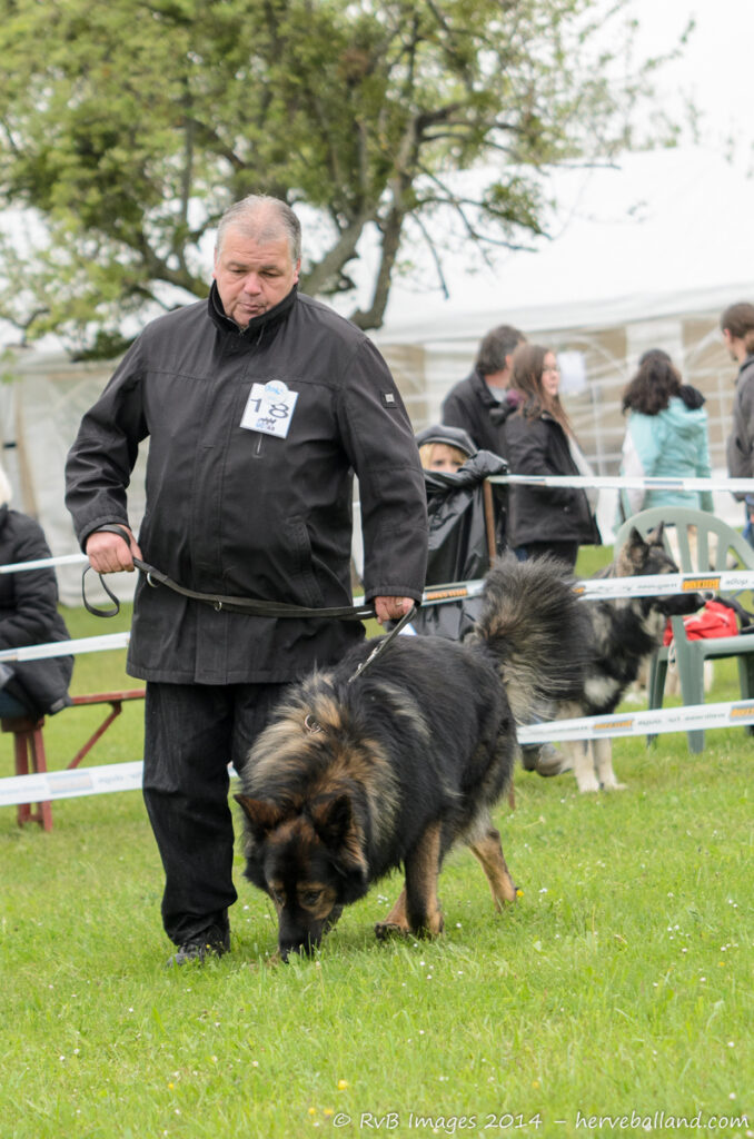 NE Boersch 2014-193