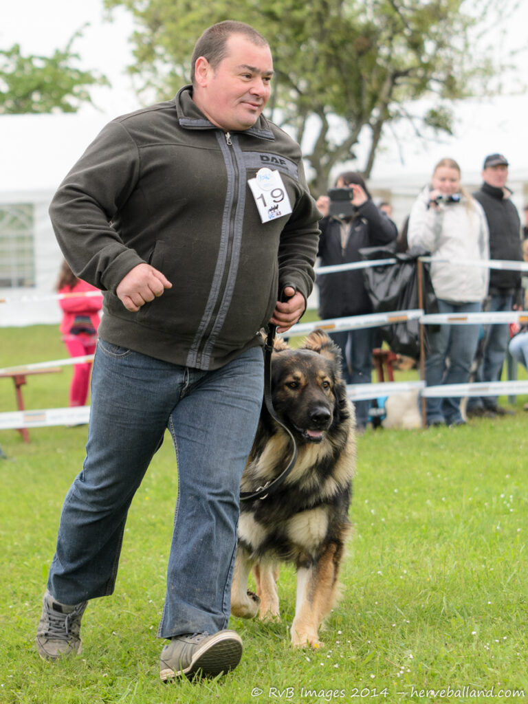NE Boersch 2014-213