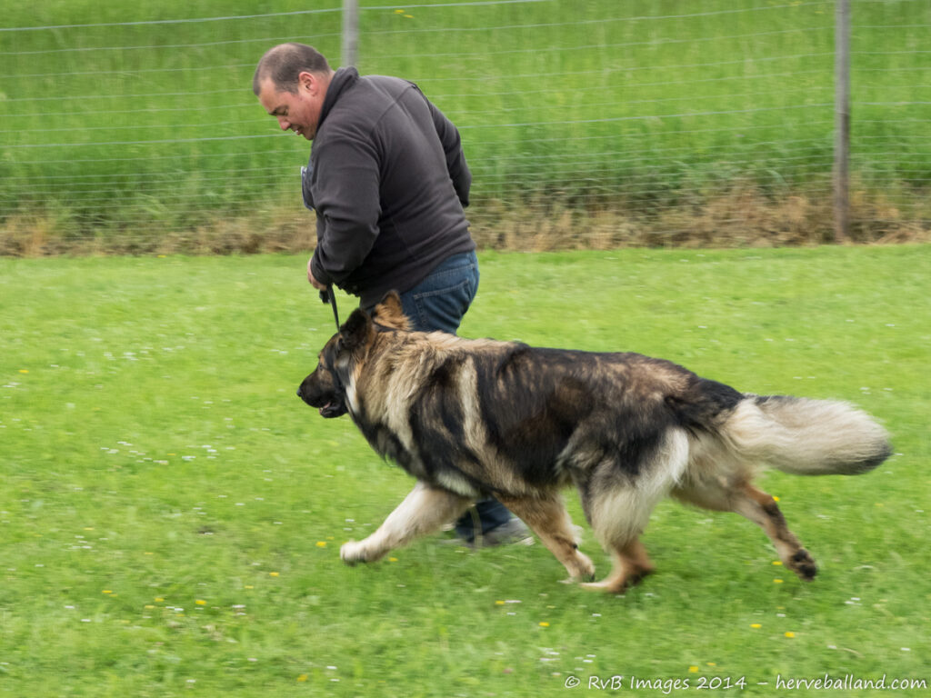 NE Boersch 2014-214