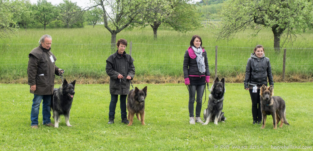 NE Boersch 2014-218