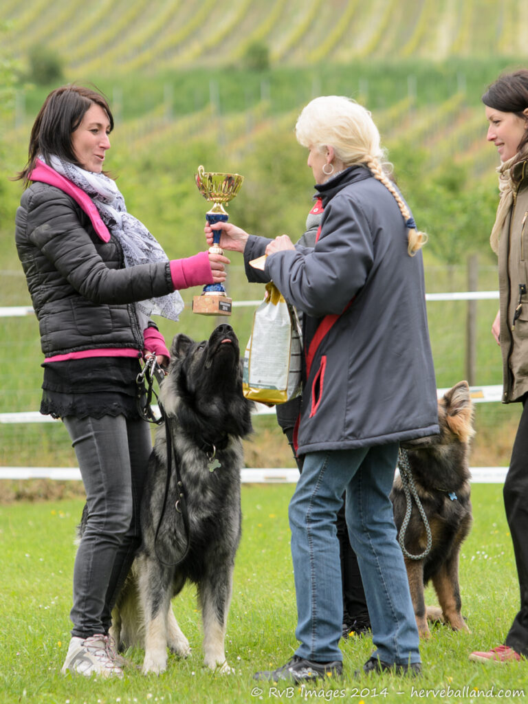 NE Boersch 2014-222