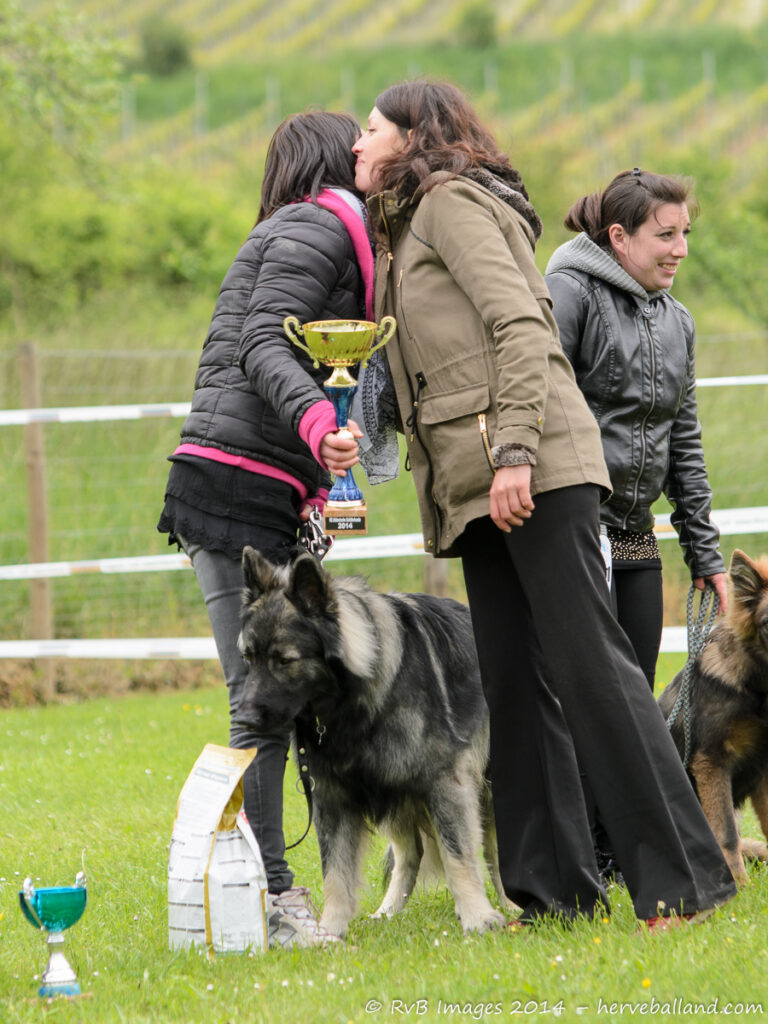NE Boersch 2014-223