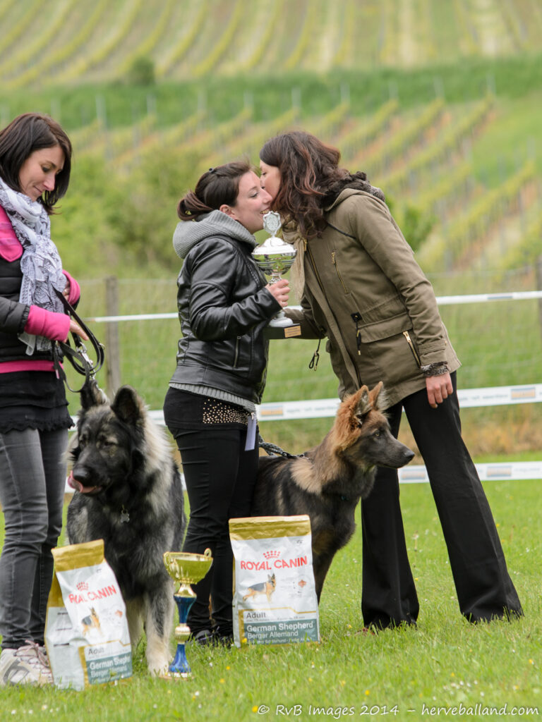 NE Boersch 2014-225