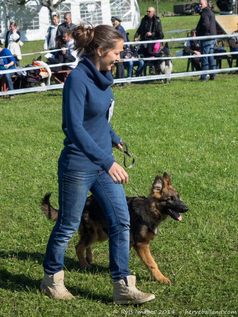 NE Boersch 2014-229