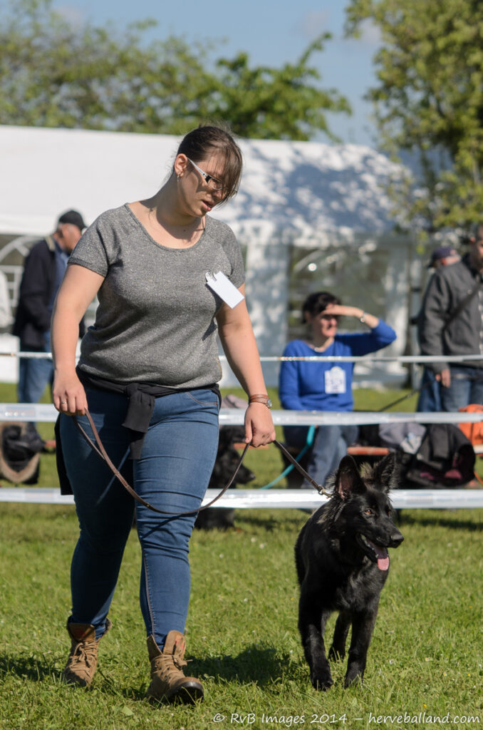 NE Boersch 2014-245