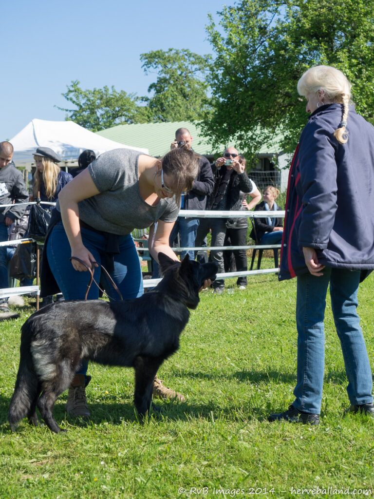 NE Boersch 2014-249