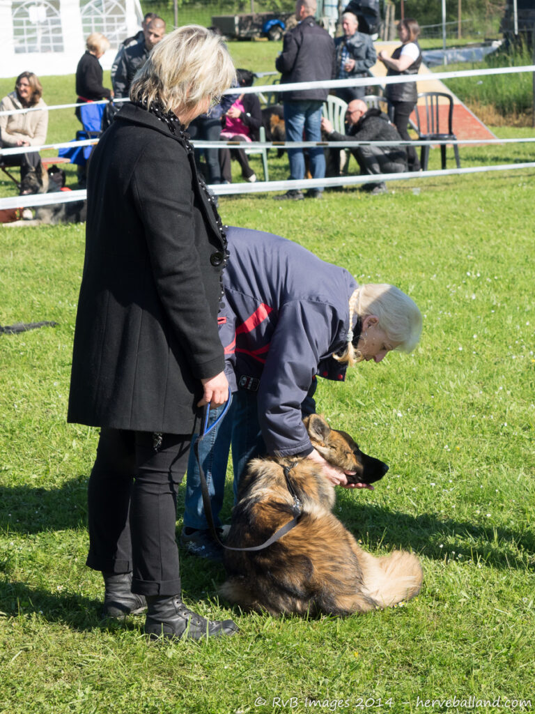 NE Boersch 2014-253