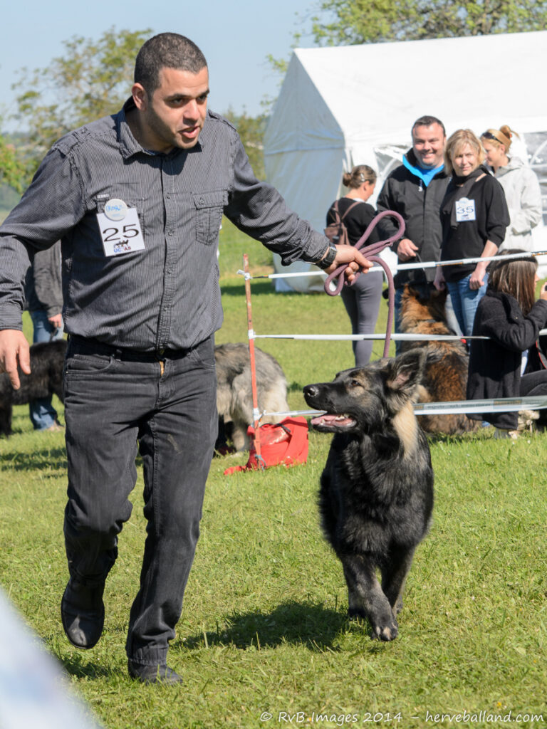 NE Boersch 2014-261