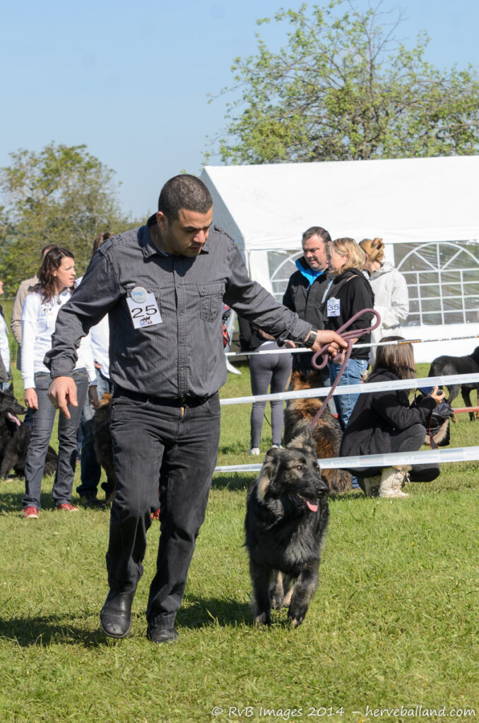 NE Boersch 2014-262
