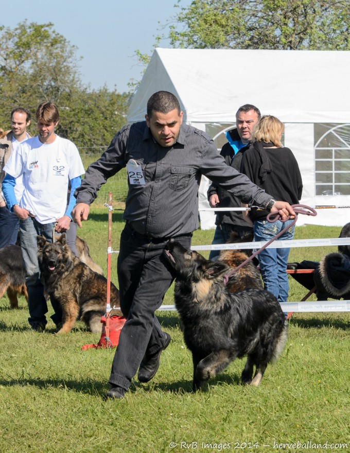 Meilleur puppy de la Nationale d’Elevage