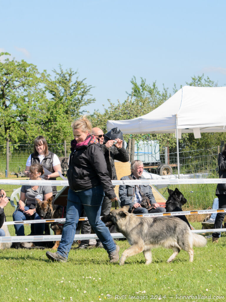 NE Boersch 2014-279