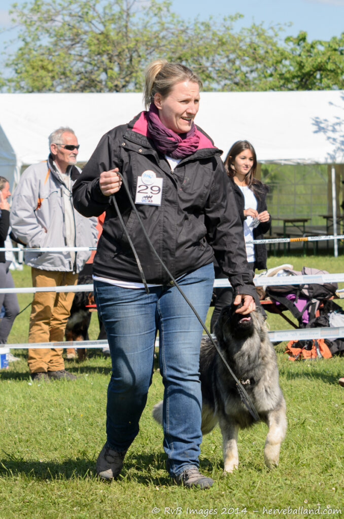 NE Boersch 2014-281