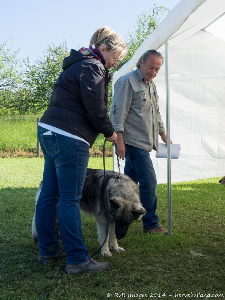 NE Boersch 2014-283